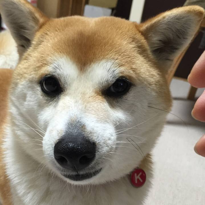 4f1f8c7e a92a 485c 9dc9 219decd26191