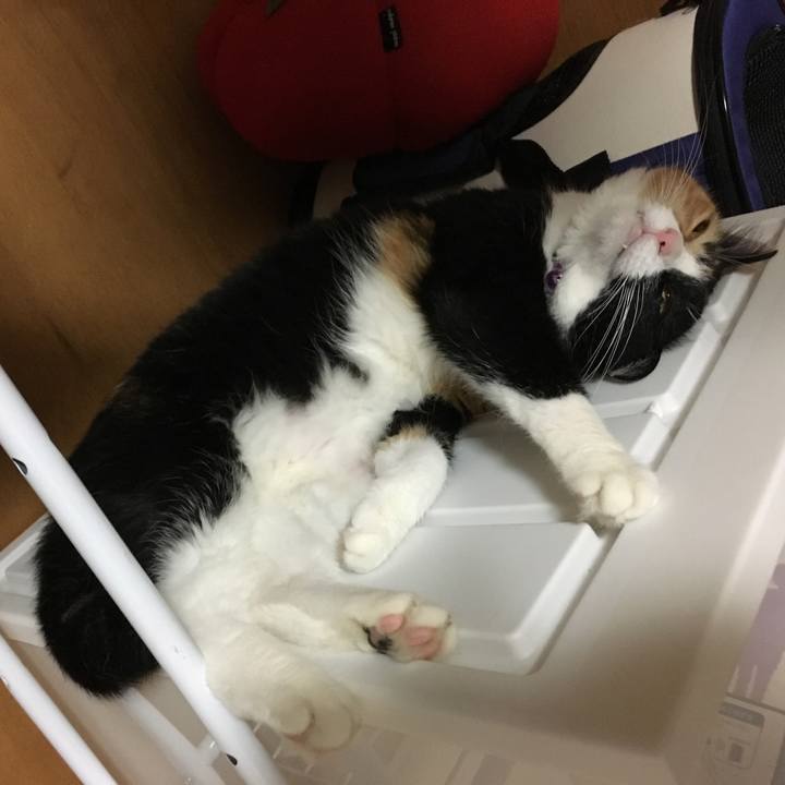 4f1faabc 9163 4fdb a99f b32b3fb9f36f