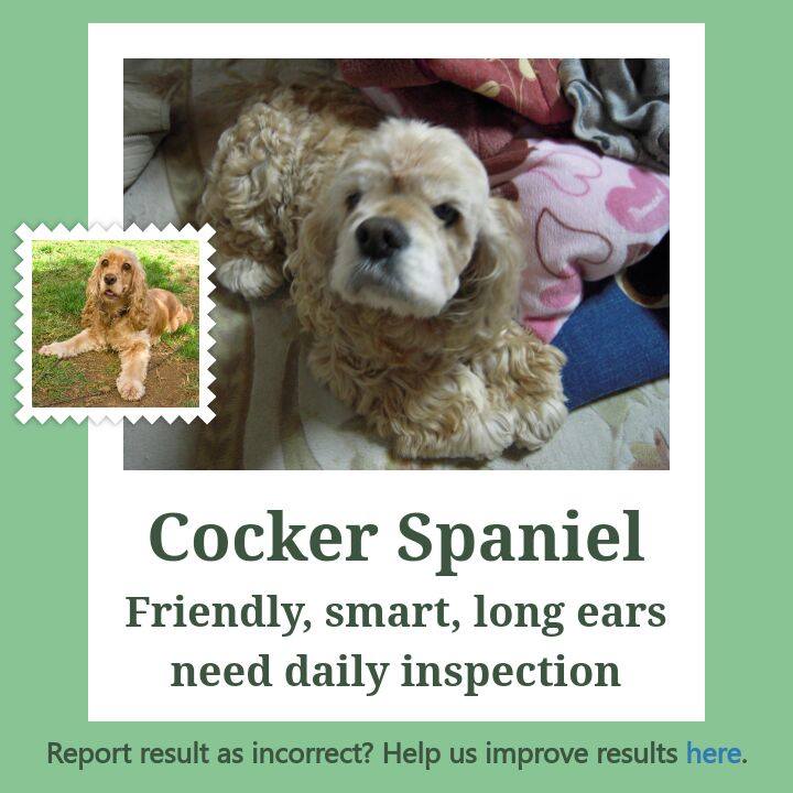 4f206f7d 07b8 43d4 bbb8 12660ef6b305