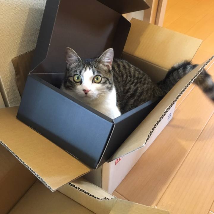 4f208630 63cb 4e99 ad00 fcdf2c6e89f5