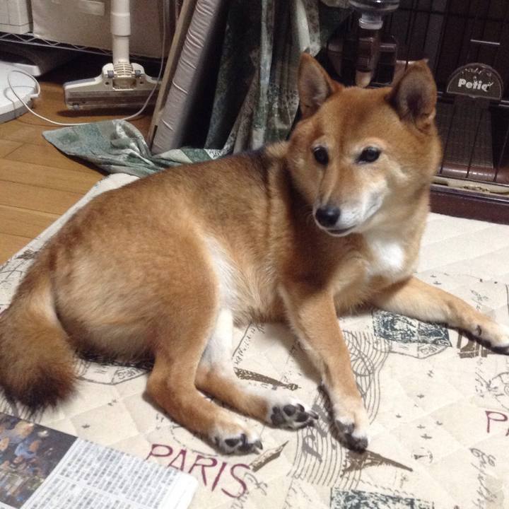 4f210406 b6b7 4ab9 b57f c19e66416398