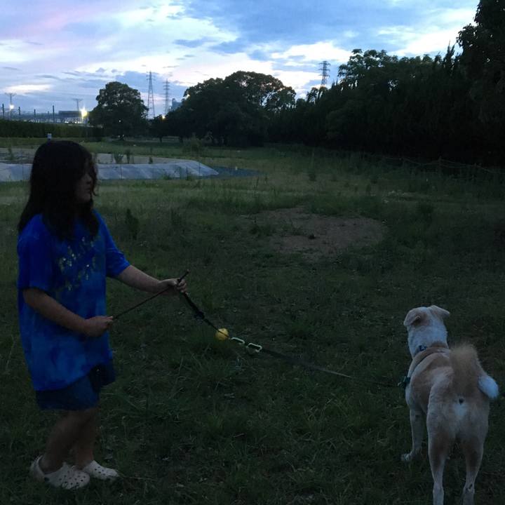 4f217ec3 5242 4a20 a072 4e278581ba01