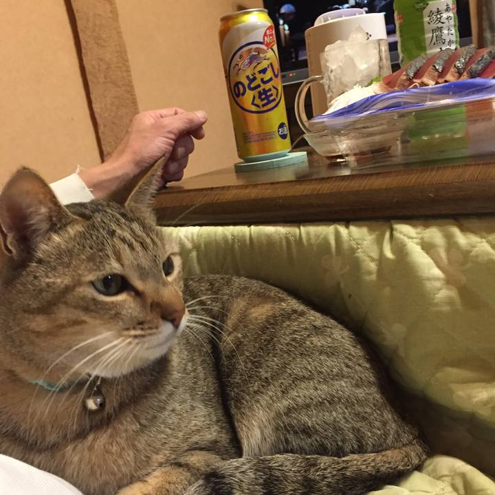 4f2248d1 efef 40a1 bd47 c05e13ca56af