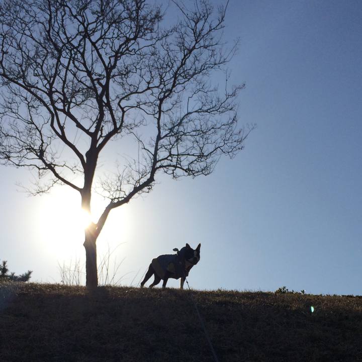 4f2258d0 fc47 49f5 9ca0 8c7740129bdc