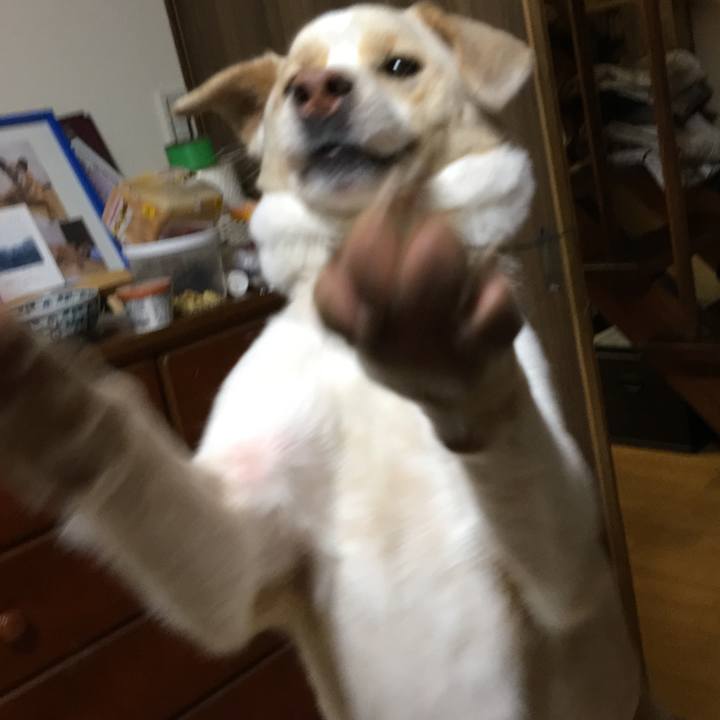 4f22d6cd 3176 4a69 80a3 2337fbb2bfdf