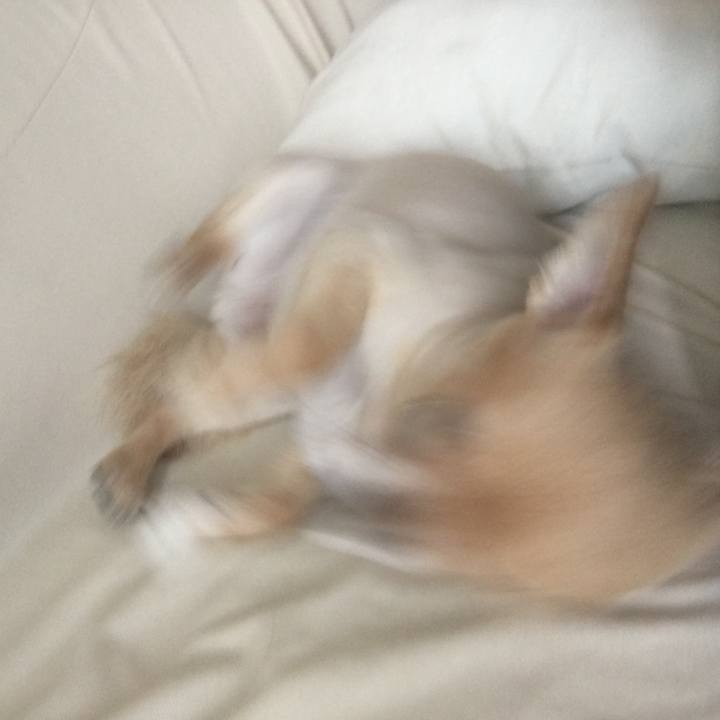 4f235f97 df31 4e84 bdd8 0209a908d4bc