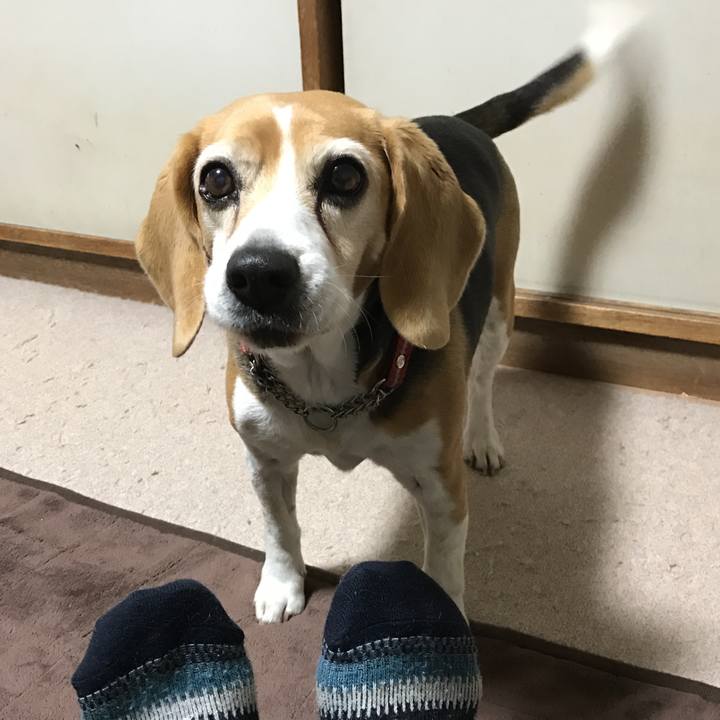 4f236281 771d 4d50 a546 33744d3b68eb