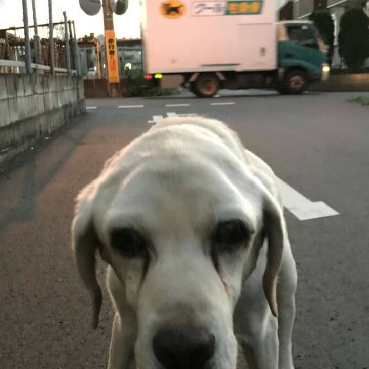 4f23d69b 4a96 48a2 add2 b1c16d0df3fc