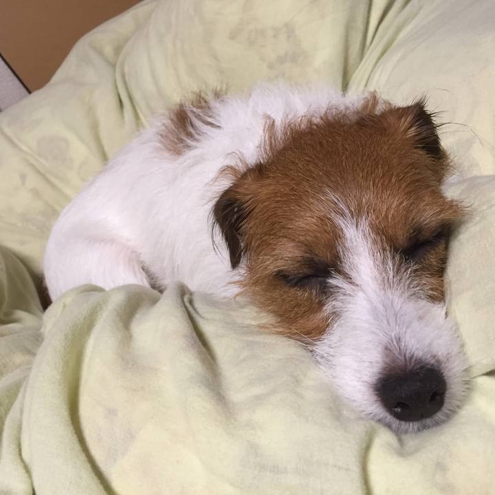 4f243cd5 49ee 4966 9430 b97a33ddc082