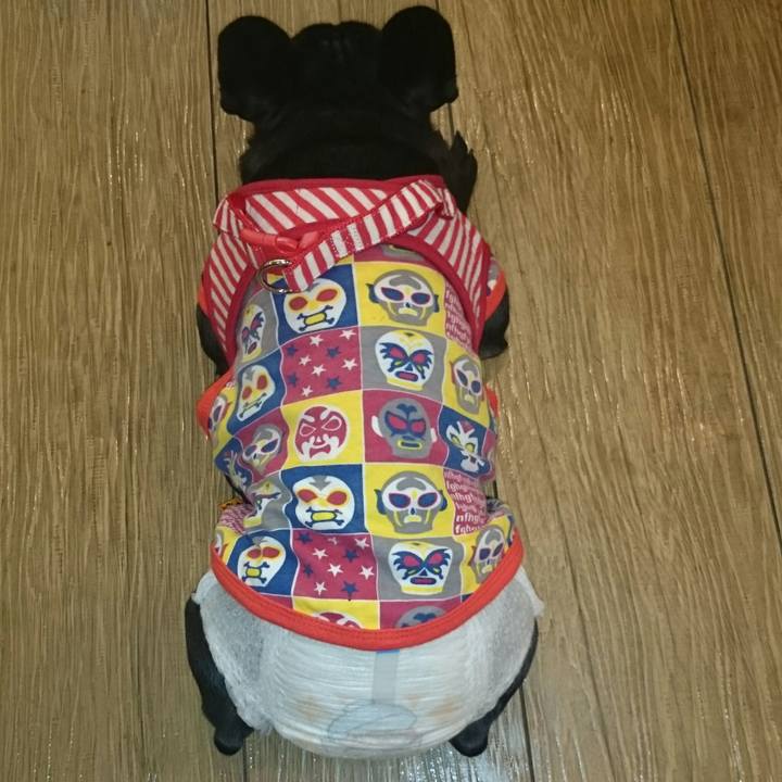 4f24b331 186f 43bc 8523 488ad3d4d0ec