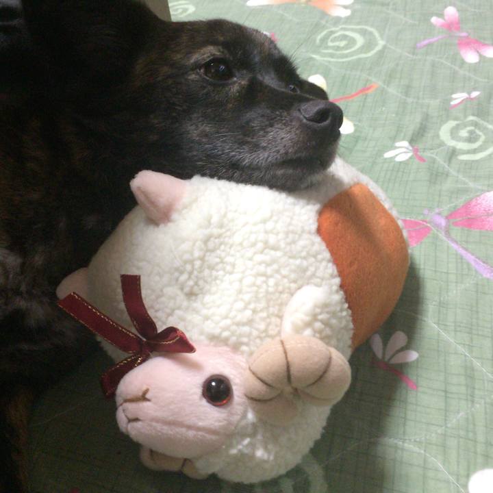 4f24bb08 49bf 4b6b a1bd f6db6c476b2f