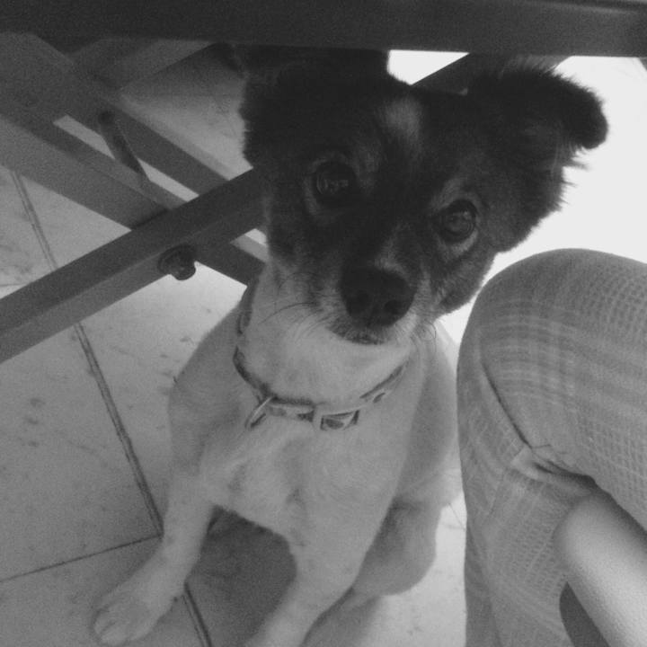 4f24e6f2 c805 4825 bc44 8819ad42e3f5