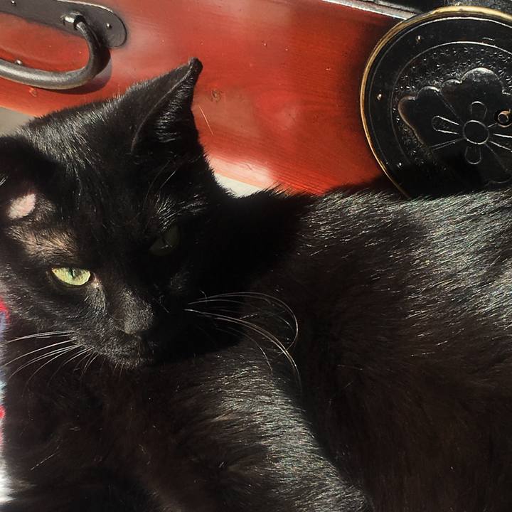 4f25b16b 1428 4452 8d00 6c86090cc842