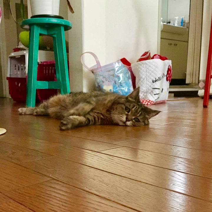 4f25d094 60fa 4cc6 9622 d9f7898181ad