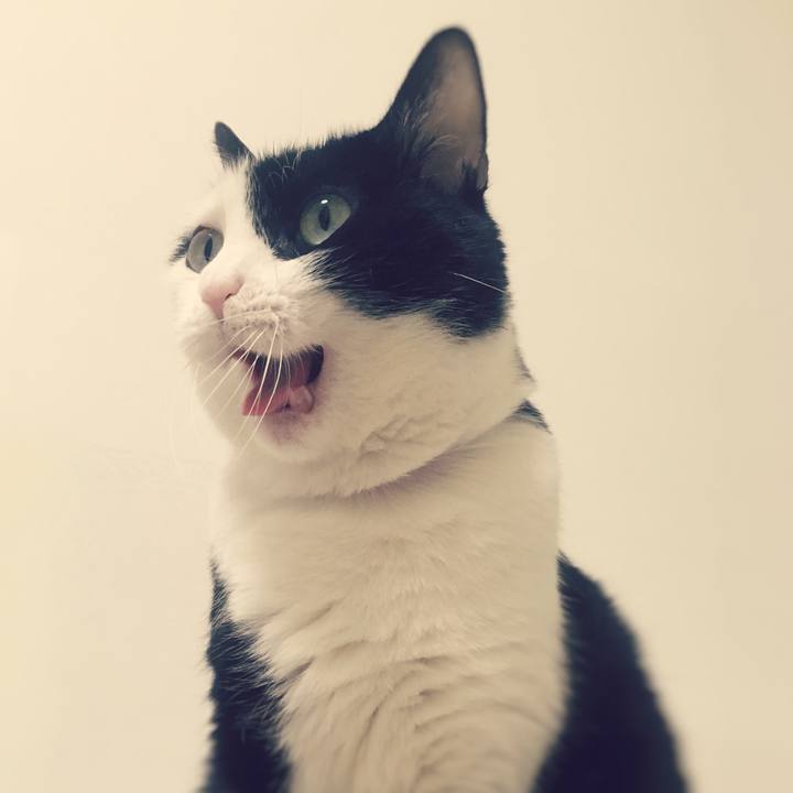 4f268617 f1aa 41f8 bb73 66f896bbe036