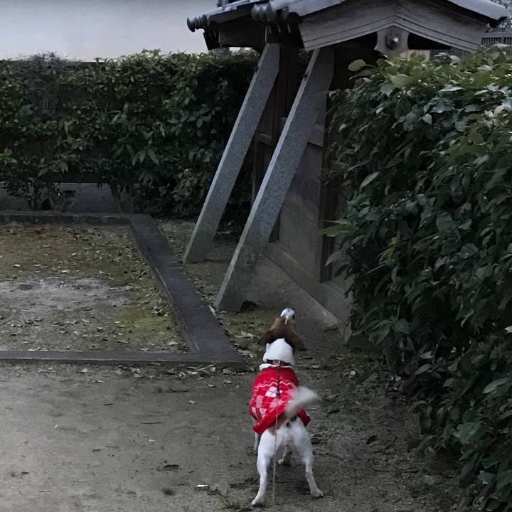 4f26a31e 3a34 4103 8f42 5599f7d2122f