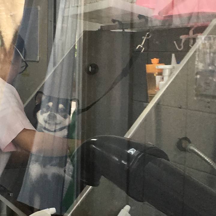 4f26b249 9db4 427b 8e02 72618fc4bfef