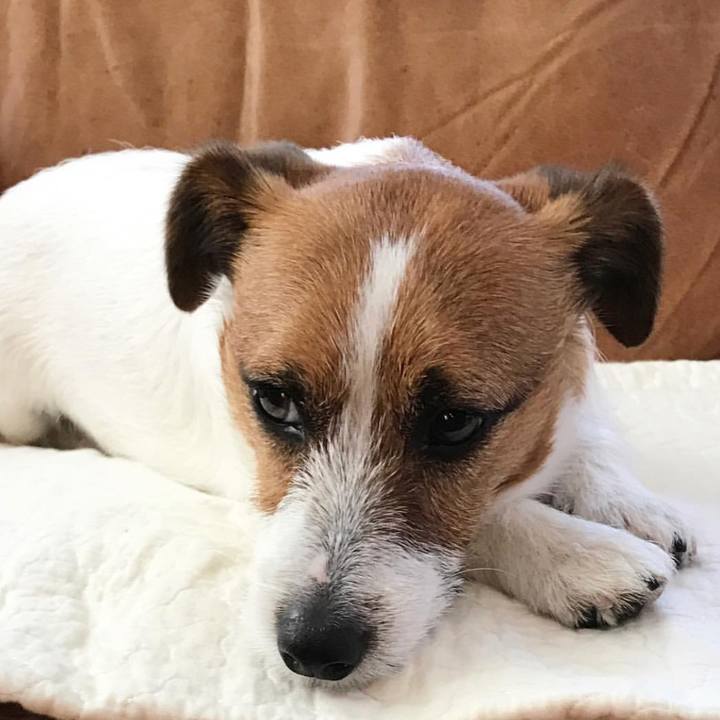 4f26f7b5 b593 4691 a96d 1cd3383b9099