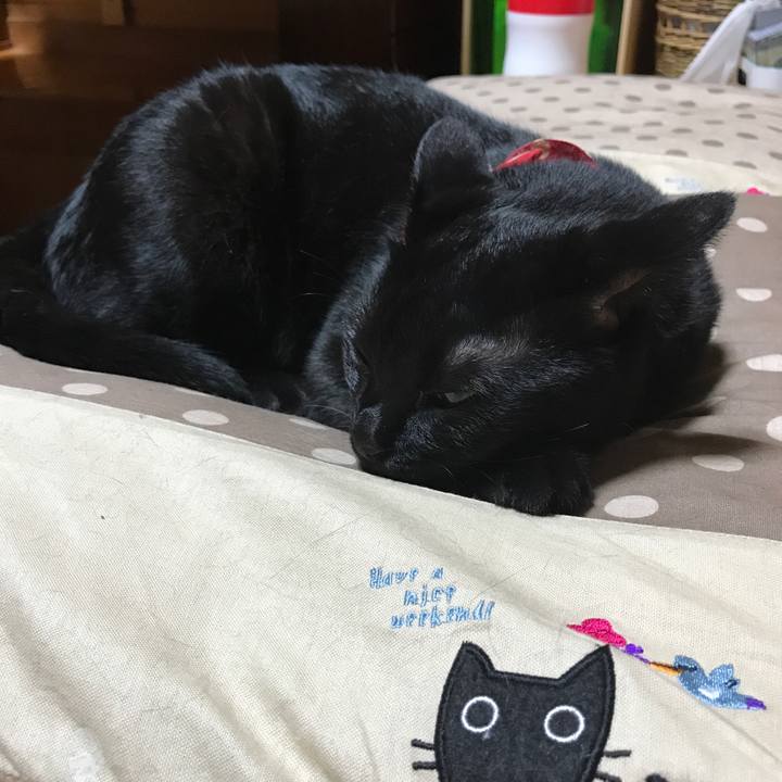 4f27b4fd 2237 425d 91ef cae91673b1de