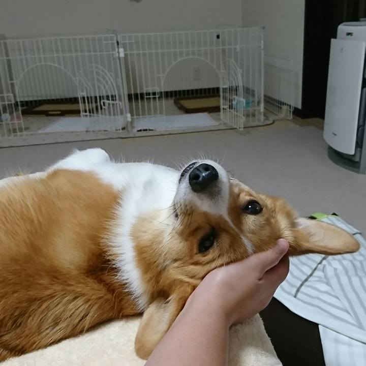 4f280fc9 5f47 4a1f 996a 4ef4643ffd20