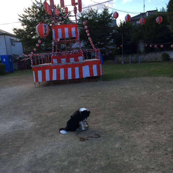 4f289b2d f402 4184 9873 27ee0436771c