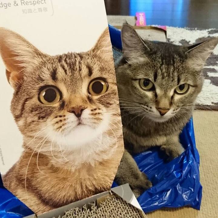 4f293743 df43 4277 8fb0 399ef6bbe94e