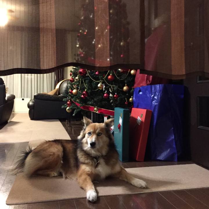 4f298630 185e 4ce2 ab4e 7fd206c1ef38