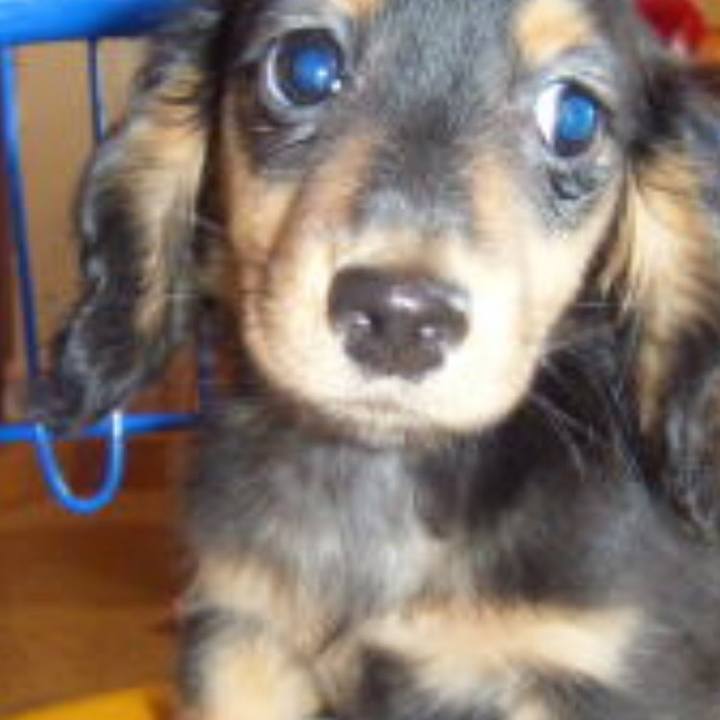 4f299acb f57e 436a a06e 0777e10a4ba5