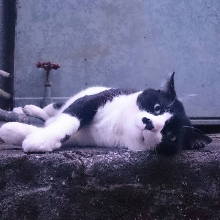 4f29d597 a7e2 4cf6 babc 11fd0376b3c0