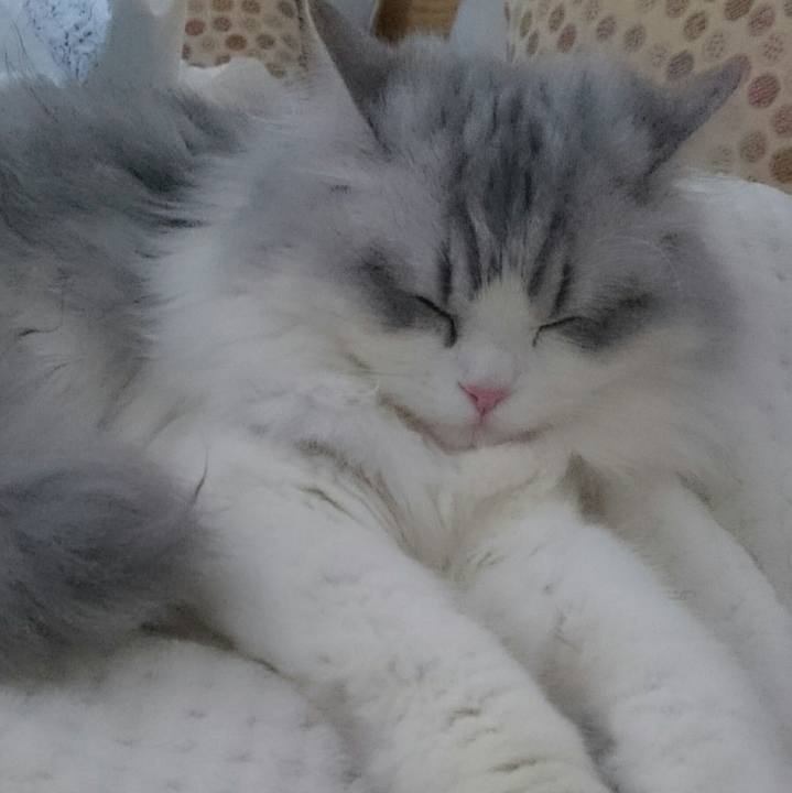 4f2afac3 871f 4a86 aedd f33368b6bf94