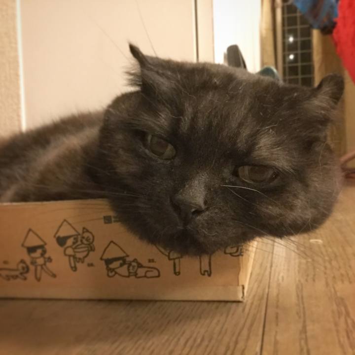 4f2b557f ba89 44c5 a997 96e08e097f77