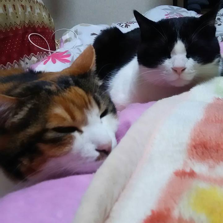 4f2b64e3 24d0 4e17 a351 f7643398d5b7