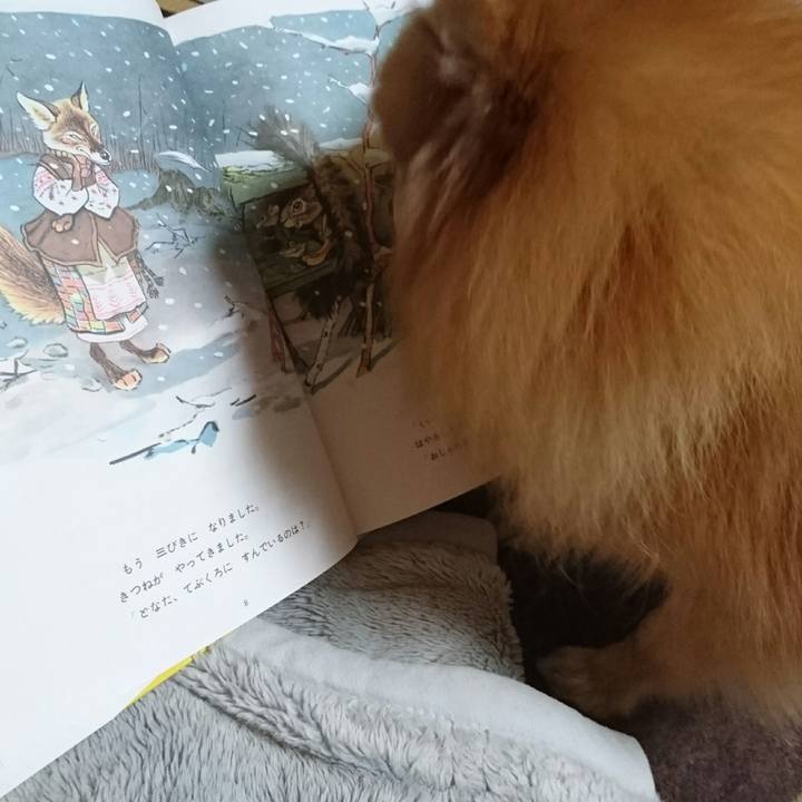 4f2bf492 d353 4a4e be50 eab4eab09b12