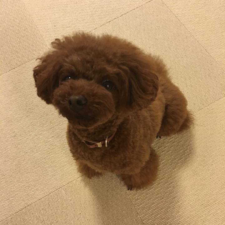 4f2c3be6 a8fa 4c26 aab1 16bdf01425a0