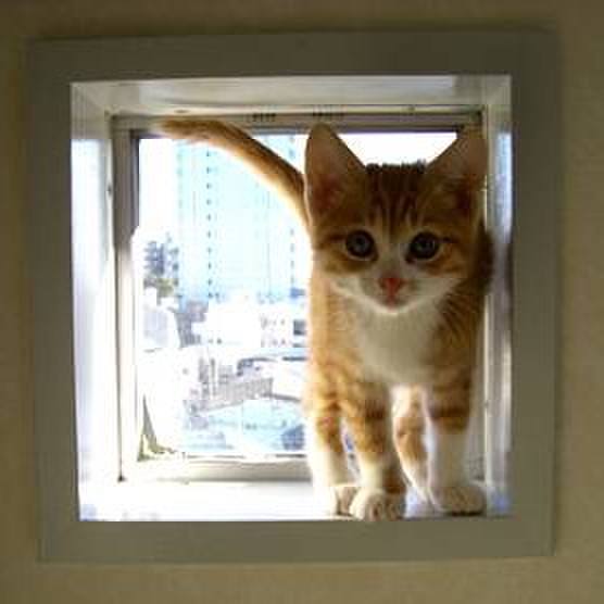 4f2c761c 342a 4dc5 8fdb 2b14a2c05fbc