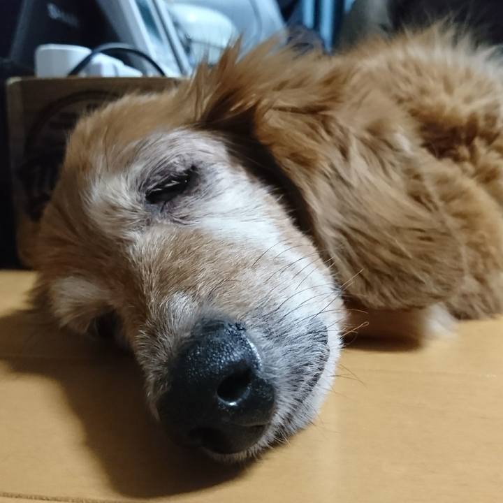 4f2cbd4e 89db 4389 b803 542dec6772fd