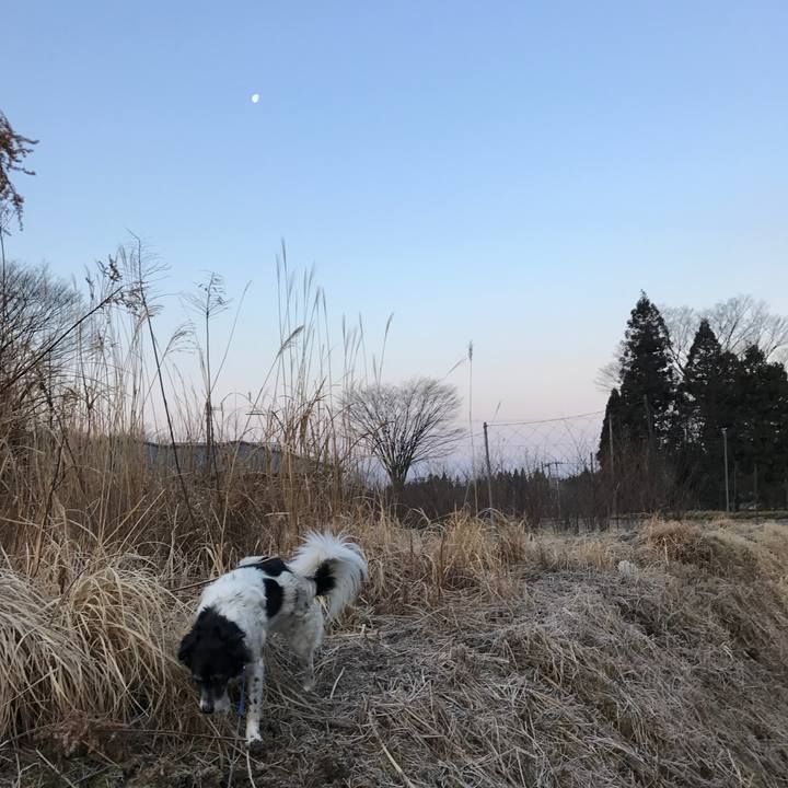 4f2e09db d373 42d7 8f8e b183c90a57f4