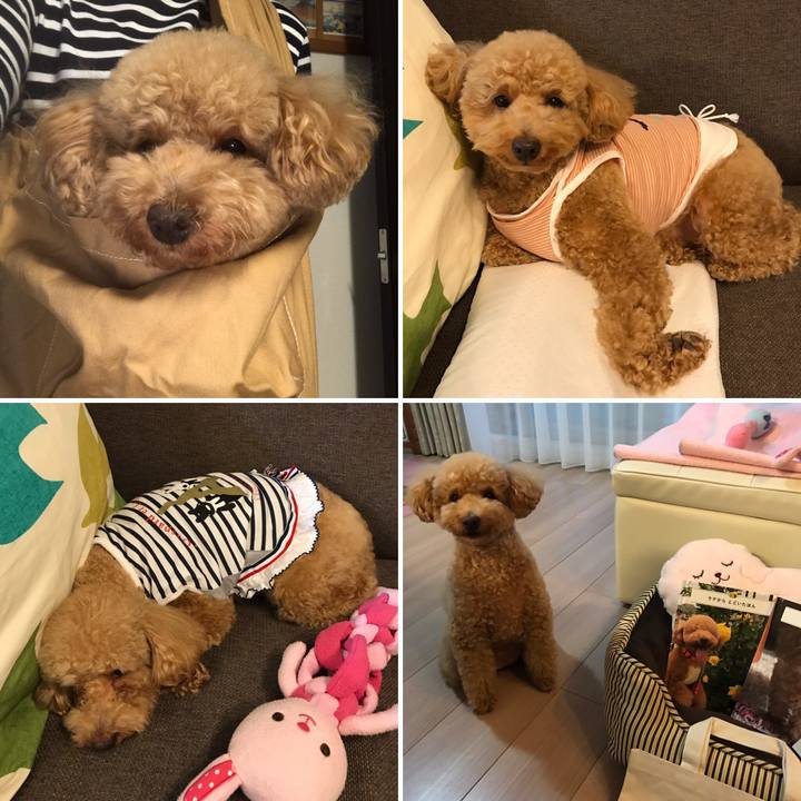 4f2f0783 9127 4bba 8771 01436c8fcded