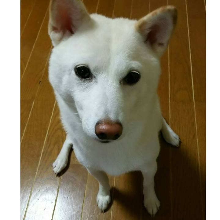 4f2f1457 e5bb 4796 8c11 0e51c83f5644