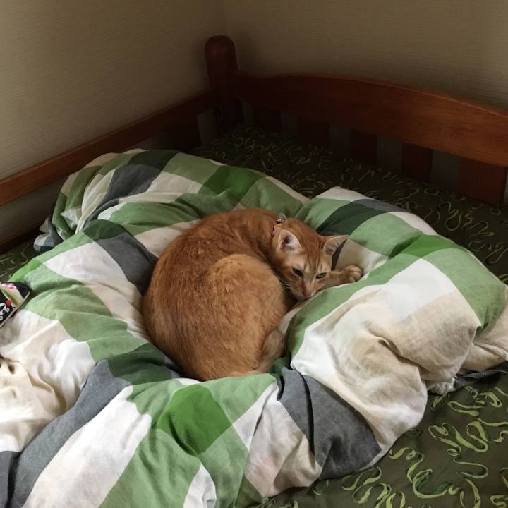 4f2fc835 9bcd 47d9 8ef8 9d9a02e31bff