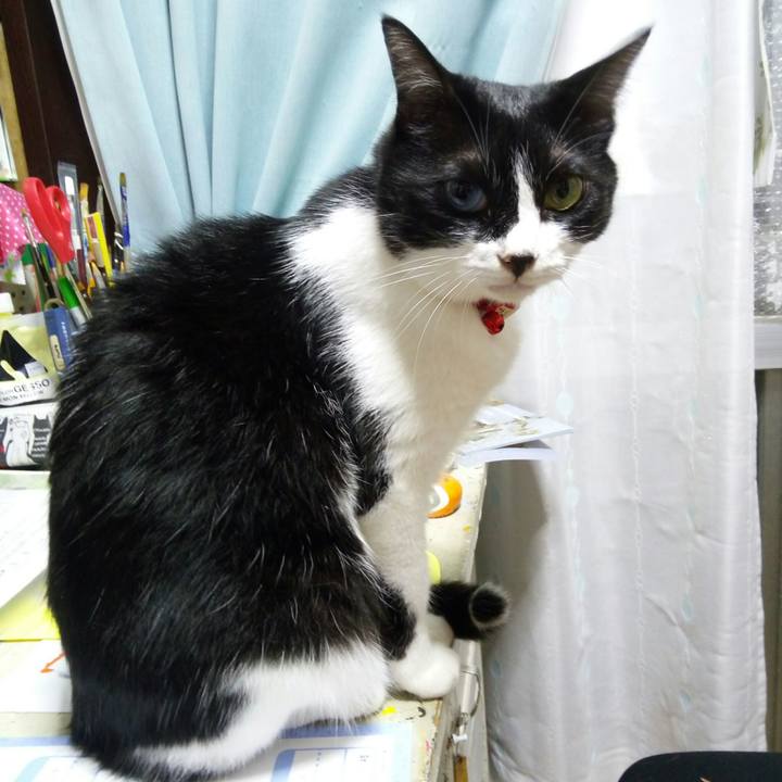 4f304805 01e6 4cbf 940e 3cb0bedda6f2