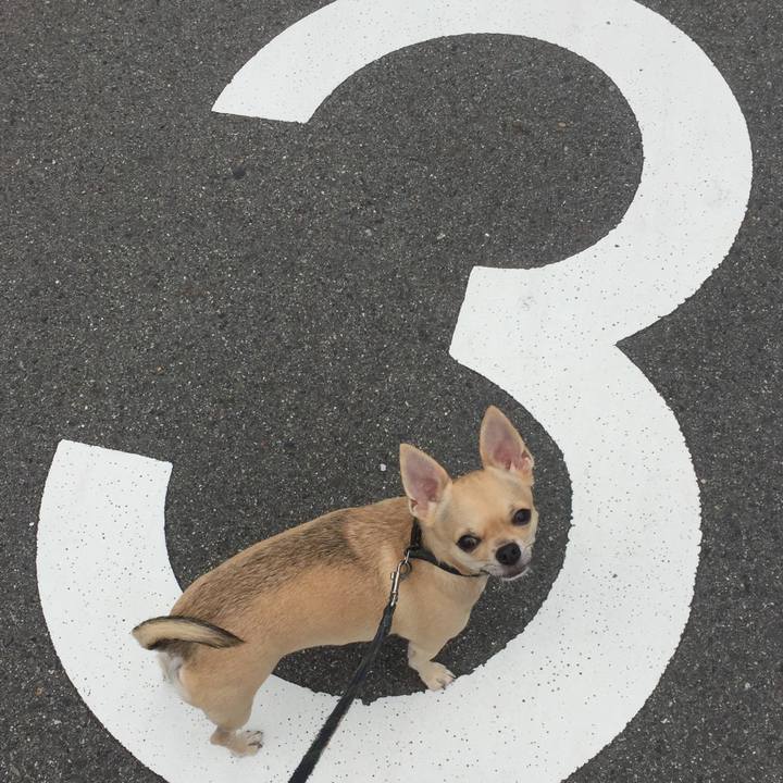 4f30fd43 d3e1 45f3 882c 438311a1dabf