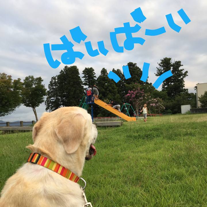 4f312d76 8c45 455d 817c d232b026dd3d