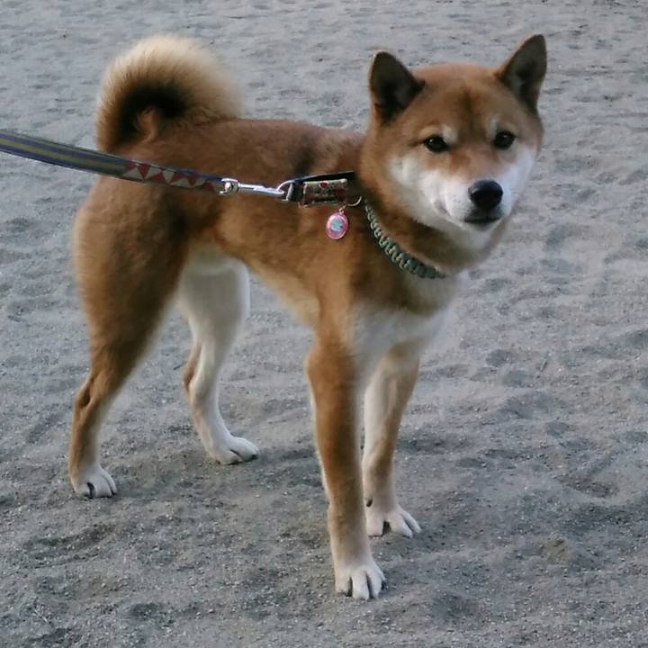 4f313545 444b 4442 bc8d aa5e3c642f03