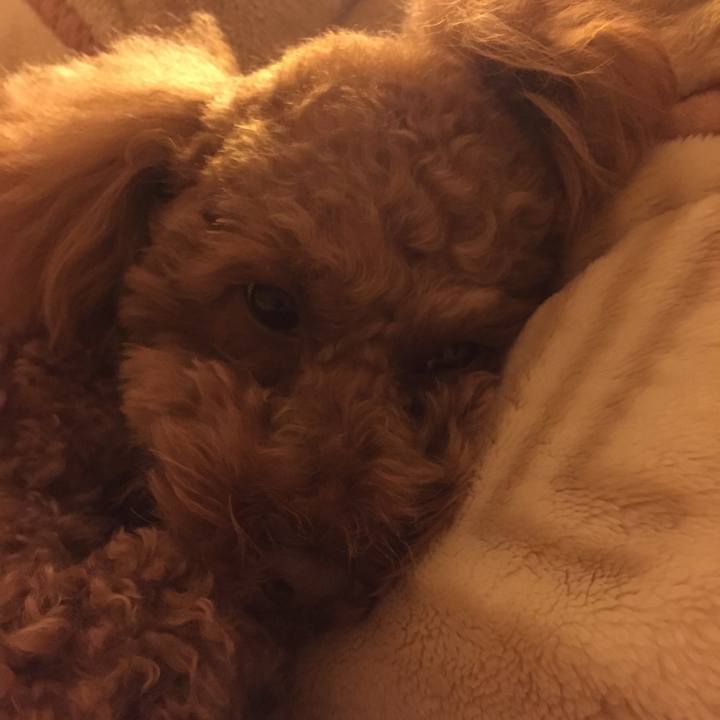 4f3179c9 4c3f 47dc a8de e2f3cf2fce23