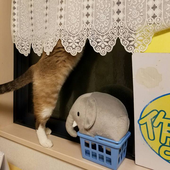 4f31827d 5ed9 4450 af14 8cfeb0060509