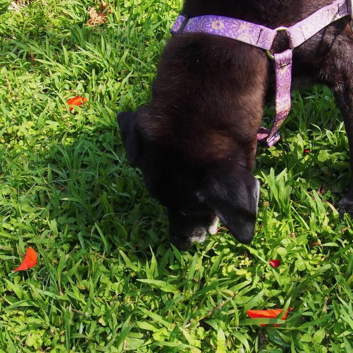 4f32047d ffc8 40ce 8fee edb29ecec288