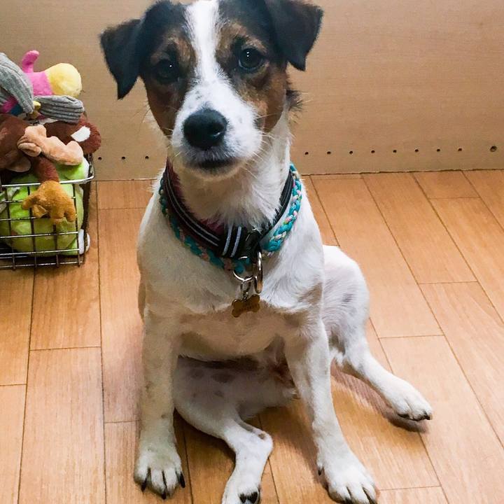 4f32972a d9f2 4993 b77b 8267b1dc847c