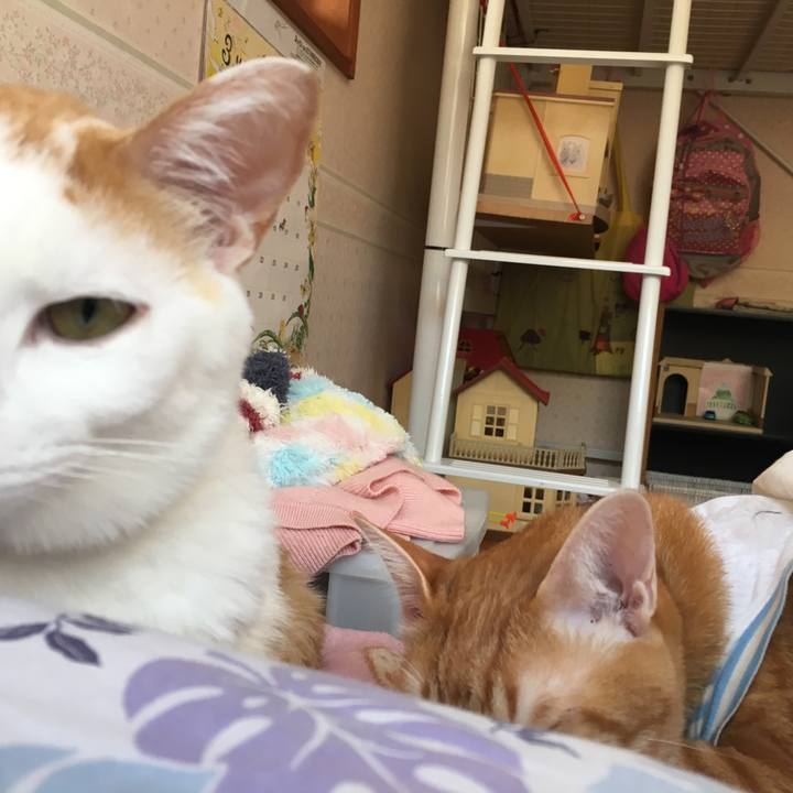 4f3337b0 eddf 4330 a14e f1a8f16d4862