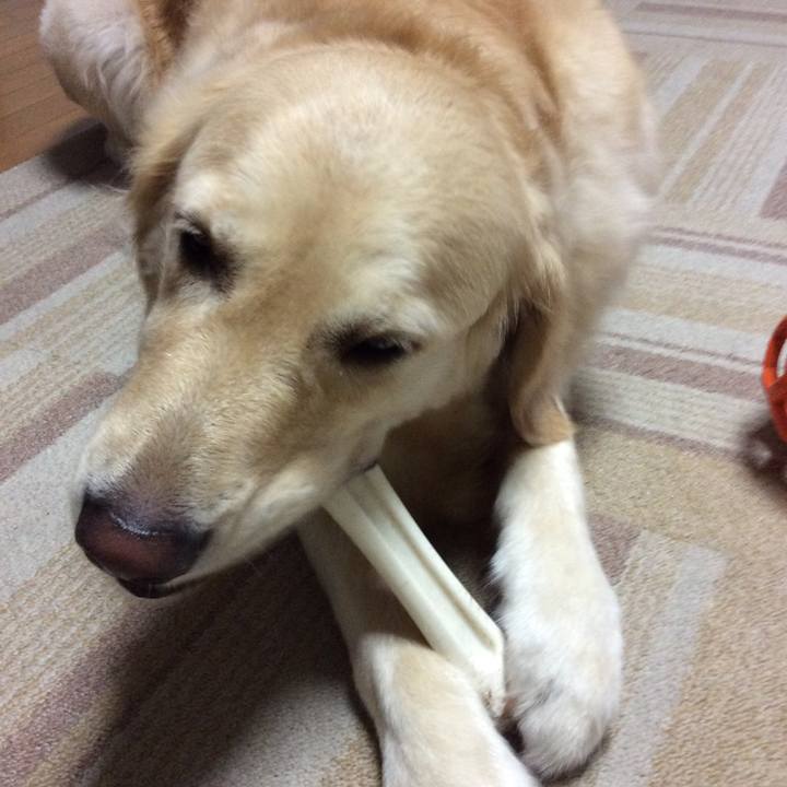 4f336461 6187 4c10 9738 d1e57ff794c9